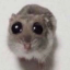 youmademelooksilly