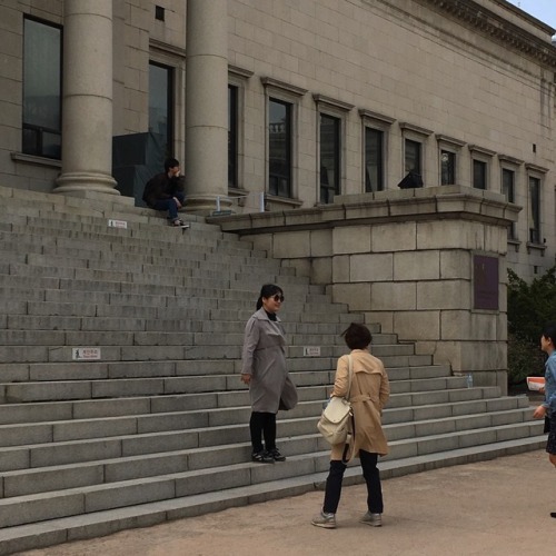 신상카페들과 중구 종로구 털기