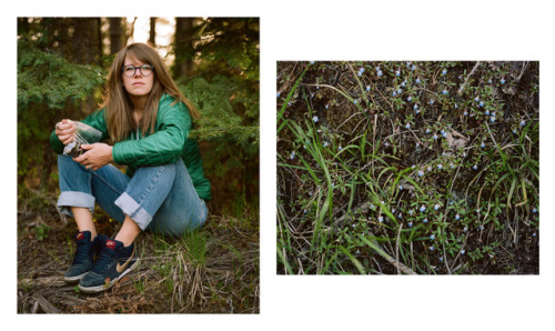 Spring in Priest River, ID II2017