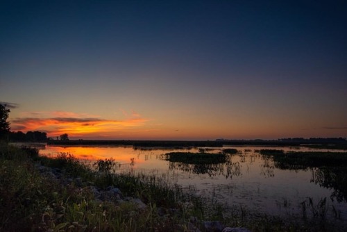 Mornings On The Marsh. — #toledome #igers_nwohio #ohioexplored #myohioadventure #naturalohio #theohi