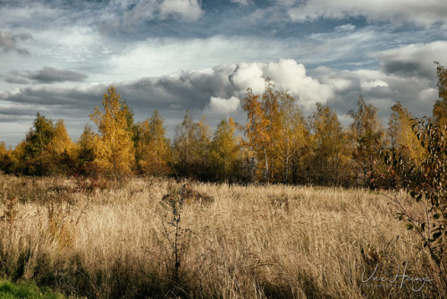 uwhe-arts:autumn in fallow land … | uwhe-arts
