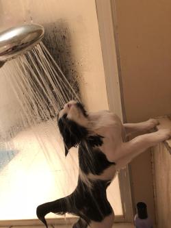eadud: cutekittensarefun:  He’s so weird at bath time. I’m glad he likes them tho. Haha  FEEL THE RAIN ON YOUR SKIN NO ONE ELSE CAN FEEL IT FOR YOU  