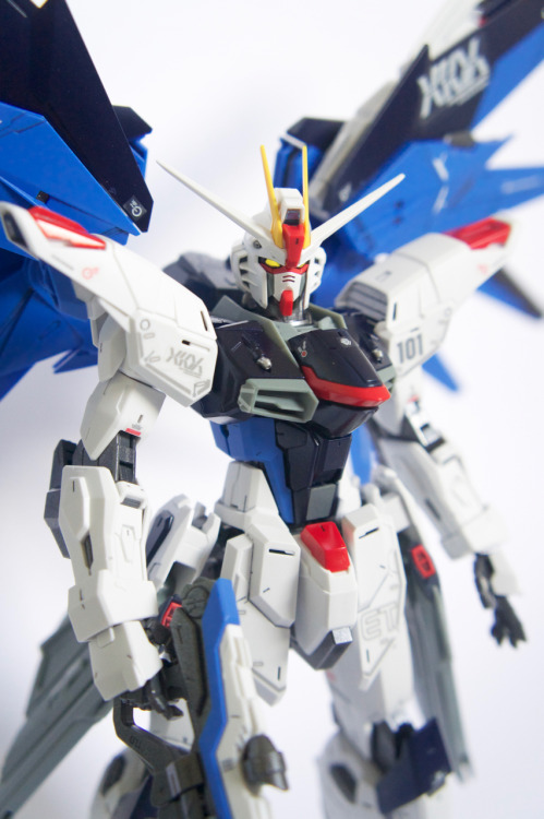 Master Grade Freedom Gundam 2.0 assembled, painted and photography by Scandalousgaijin