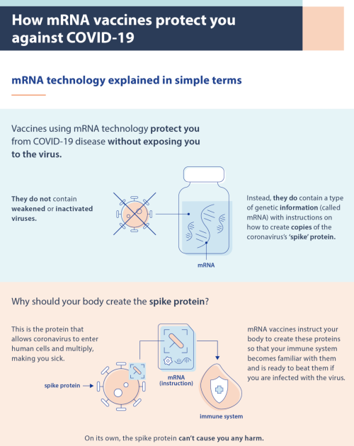 themedicalstate: How mRNA vaccines protect you against COVID-19- by Council of European Union (Updat