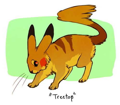 norisus:  Some weird little pikachu variants “Grasshopper” pikachus are fast little bouncy things that inhabit plains and grasslands. “Snowshoe” pikachus are large and thick-coated, capable of surviving sub-zero temperatures. “Treetop” pikachus