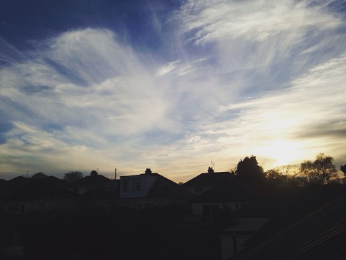 Photography Project #1
