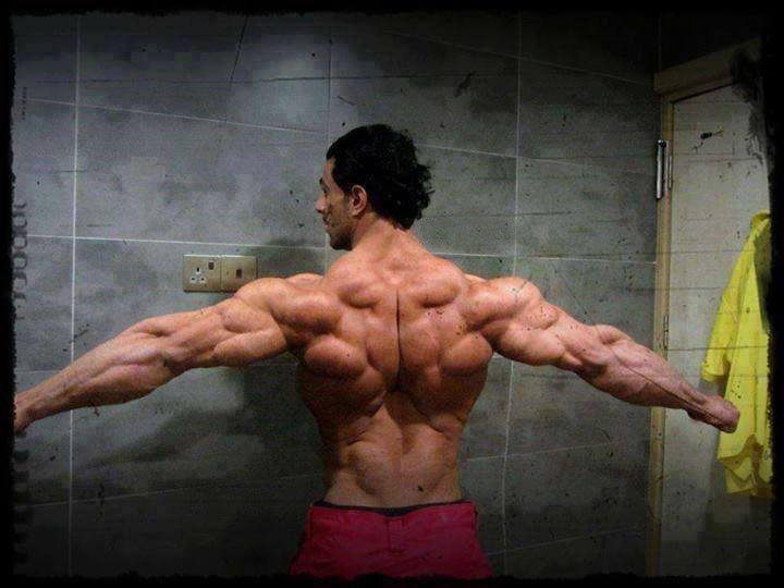 REFUSE TO BE AVERAGE