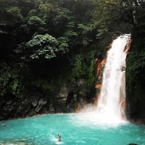 oceancuresall:   tropical blog  