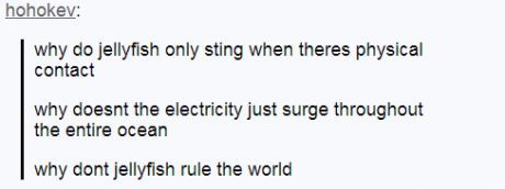 ….. Jellyfish…. aren’t electric…. do people really think jellyfish SHOCK you?????  Is this a real thing???