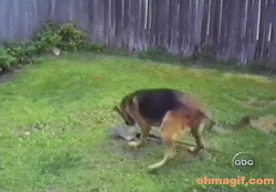 gifini:  For other gifs http://gifini.tumblr.com/
