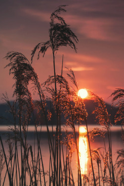 sitoutside:  Purple Sunset by Andreas Krappweis