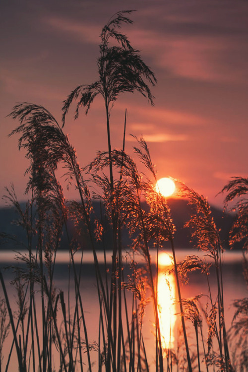 sitoutside:  Purple Sunset by Andreas Krappweis  