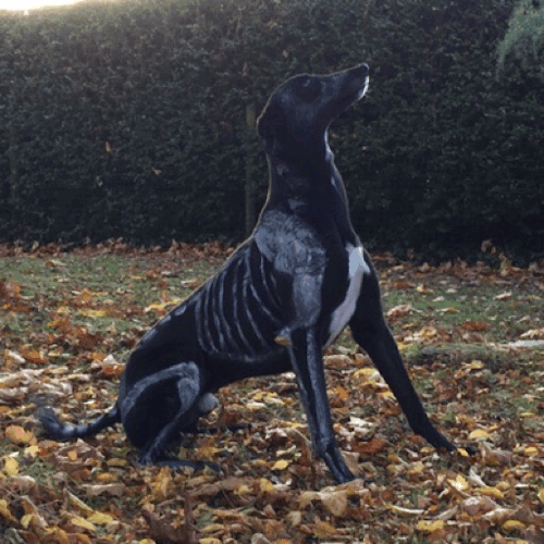 thegypsycob:  Spooky scary skeleton 