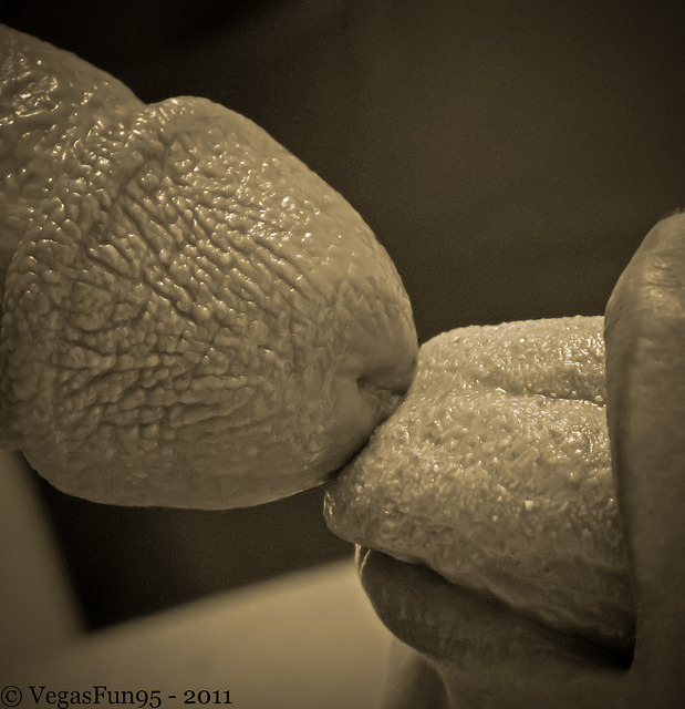 myeyeherbody:  Follow us and reblog our stuff if you like it!! http://MyEyeHerBody.tumblr.com