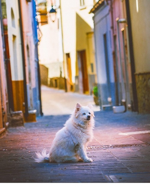 #Italy #dauniaupndown #weareinpuglia #sonyalpha #AlphaCollective (en Biccari)