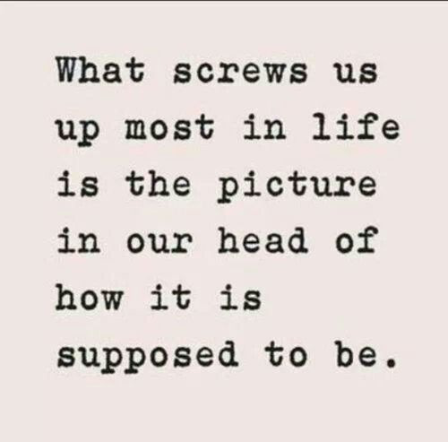 inkl0ve:  wicked-naughty-diva: That and assholes. They manage to screw things up too.