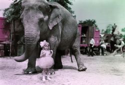 terminal-vitality:  Amazing Vintage Photos of a Traveling Circus Appearing in the October 1931 issue of National Geographic, “The Land of Sawdust and Spangles—A World in Miniature” explores the whimsical world of the traveling circus. The circus,