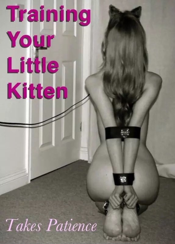 direwolfdaddydom:  Training your little kitten takes patience 