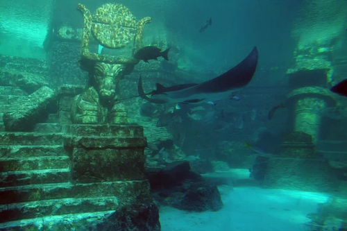 constantneverland: slapoint: Under water ruins found in the Bahamas  Okay officially the cooles