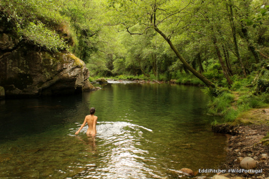 Wild Skinny-dipping in Portugal