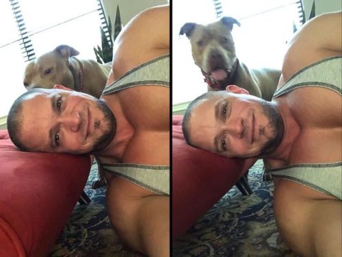 Vicious Pitbull attack  #ladybugthepitbull #daddiesgirl #dudesanddogs #pitbullattack #cutepupper #pi