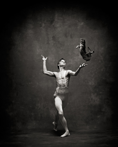 Daniil Simkin and Lilly the Cat in a Pas De Chat, never been seen before. photo by NYC Dance Project