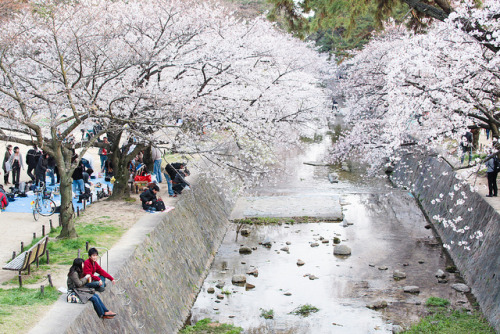 hyogo prefecture