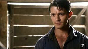 sapphirechaos:    ♥ Harry Polson (Dominic Allburn) Appreciation Post ♥A Place to Call Home [1x07 - 1x12]  