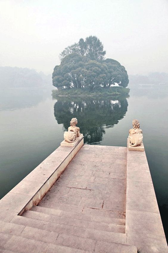 thepaintedchateau:  …”trees are the earth’s endless effort to speak……to