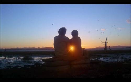 Dreyfus Once Wrote From Devil's Island That He Would See The Most Glorious Birds. Many Years Later In