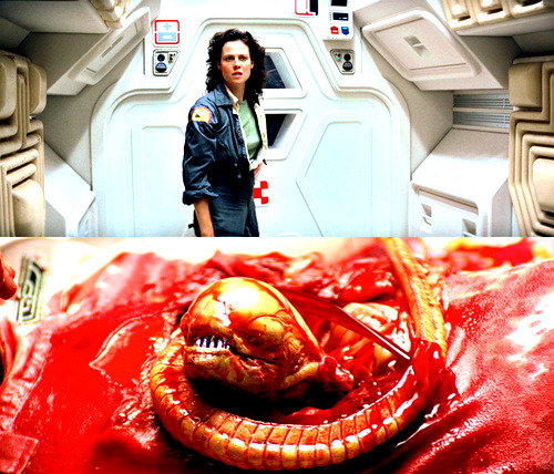 wwwjc131599:  luciofulci-deactivated20200614: “You still don’t understand what you’re dealing with, do you? Perfect organism. Its structural perfection is matched only by its hostility.” Alien (1979)   “I admire its purity. A survivor…