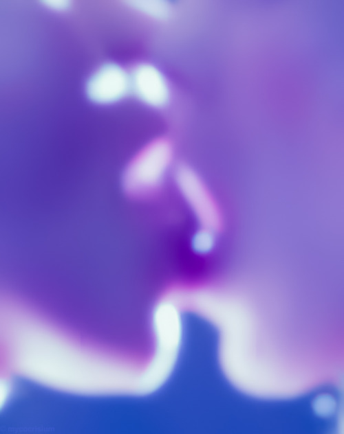 http://pornartporn.tumblr.com/post/139765277464