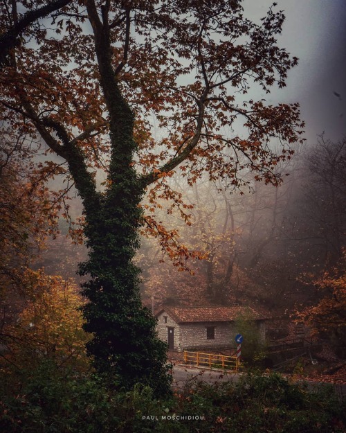 The cabin in the woods.Location: Ανθοχώρι, Καρδίτσα / Anthochóri, Karditsa, Greece by @paul.moschidi