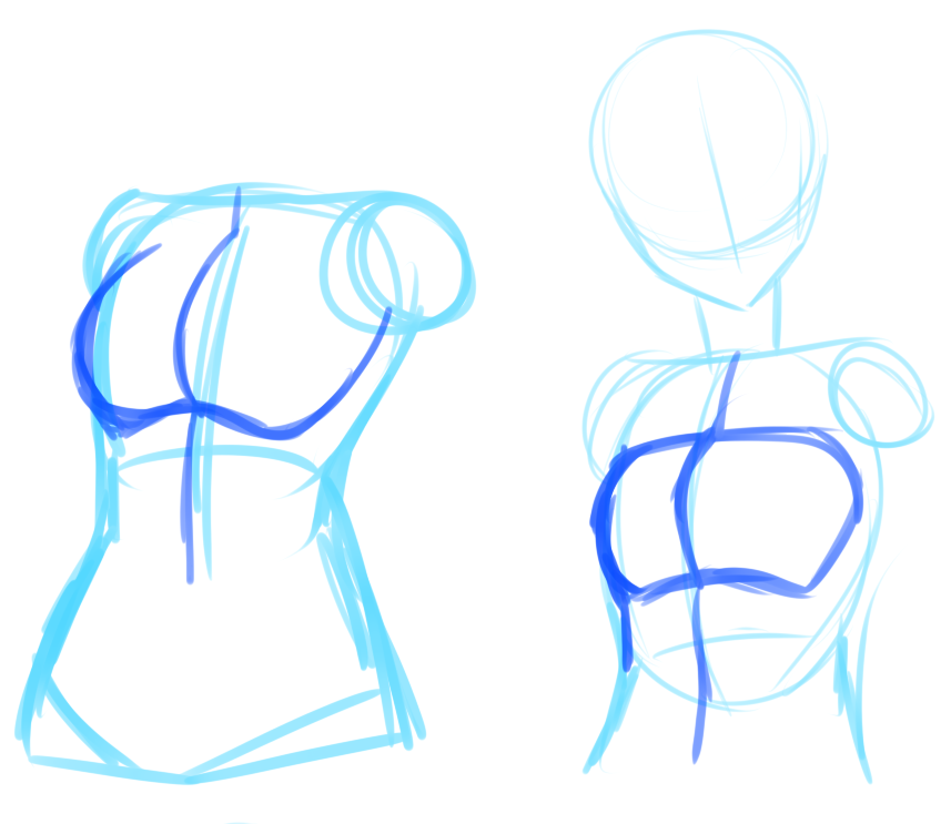 how to draw breasts