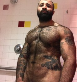 hairyfan1:Wow…. extrem geil!!!