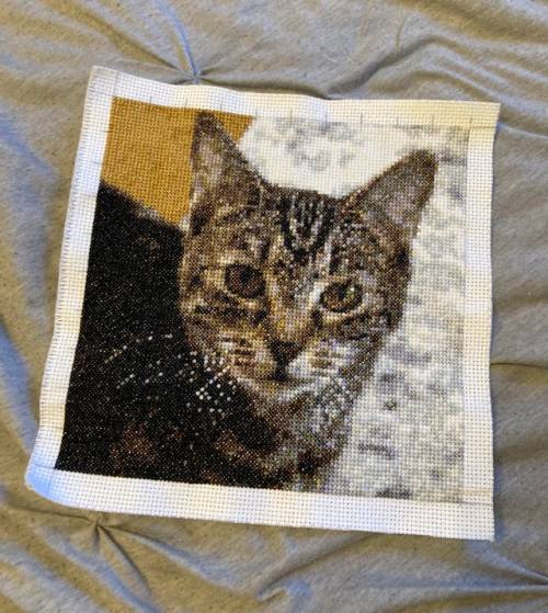 First Post, Second Biggest Project! By Toastestwiththemost