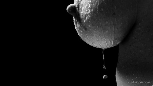 macroeroticphoto:  After the rain by Malapris - 500px