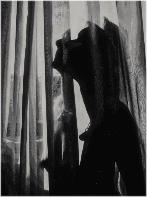 horseunderthetable:  You, you and you © Etienne Cabran http://horseunderthetable.tumblr.com/ 