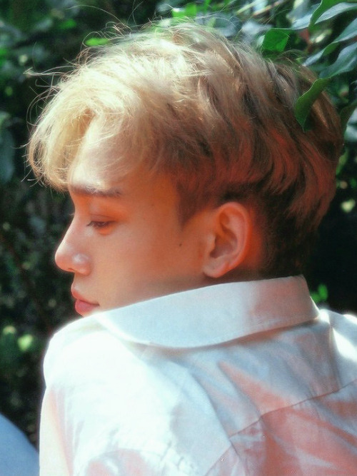 baekhyuntella: Chen // TheWar:KoKoBop Teaser Photos