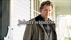 fandomforever:  Fringe  Season Two (I)