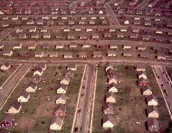 rogerwilkerson:  Levittown