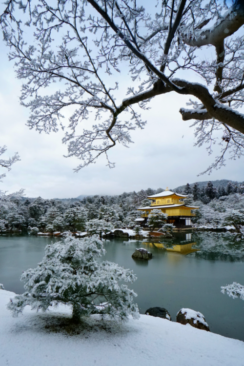 nihongo: chitaka45: 京都 金閣寺 ❄️雪景色❄️2018年1月14日 kyoto kinkakuji temple 14.1.2018 まるで絵葉書のような、美しい雪の金閣寺。寒