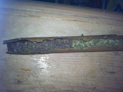 Hellahiigh:  Purple Kush X Girl Scout Cookies In The Blunt