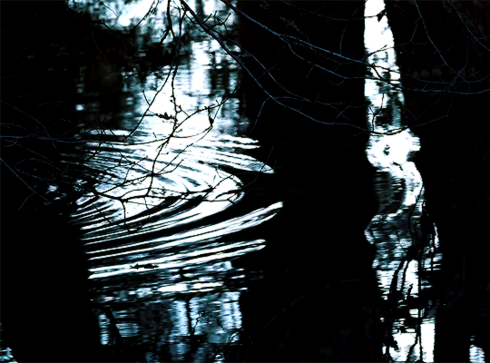 e173a56f14f5f4b9800472ed045df8c0b5ee5faa.gif