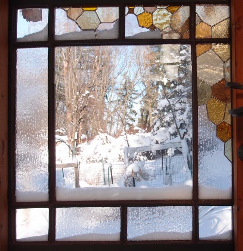 theglasscabin: Bee and Honeycomb windows.