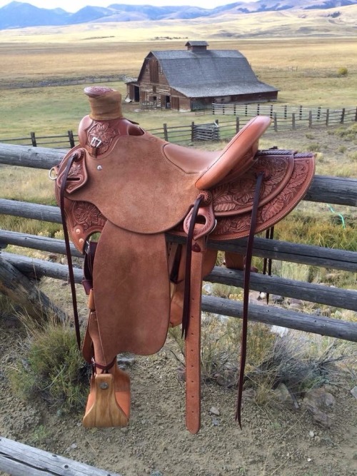 coloradoqueen:Wade saddles though