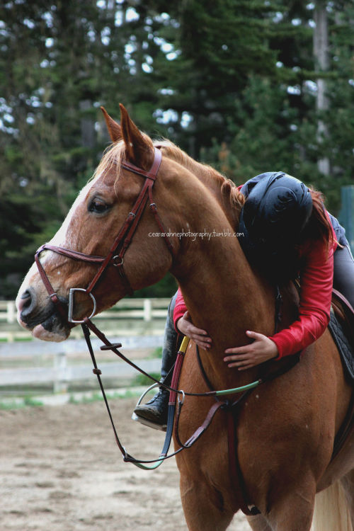 swedish-oxer: ceararahnephotography:Horsie Hugsies March ‘13i really love those reins