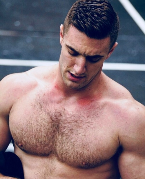 Guys/Gays