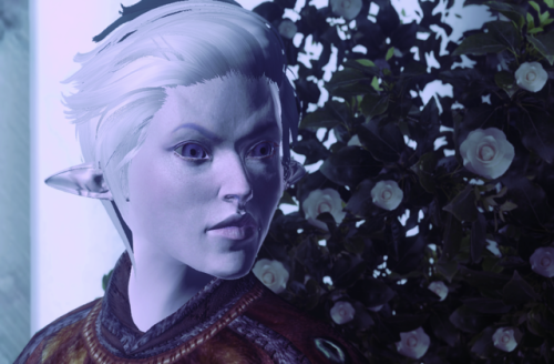 miraakcultist:and here is velarys 2.0, my snow elf babe