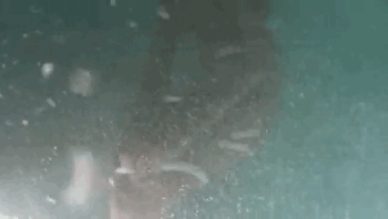 Afro-Orgasm